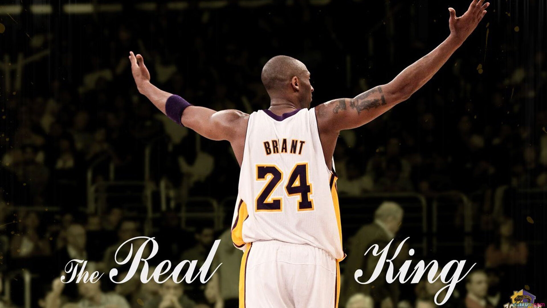 北京队带走活塞启示录,锡安如何成为跨文化竞技的关键先生